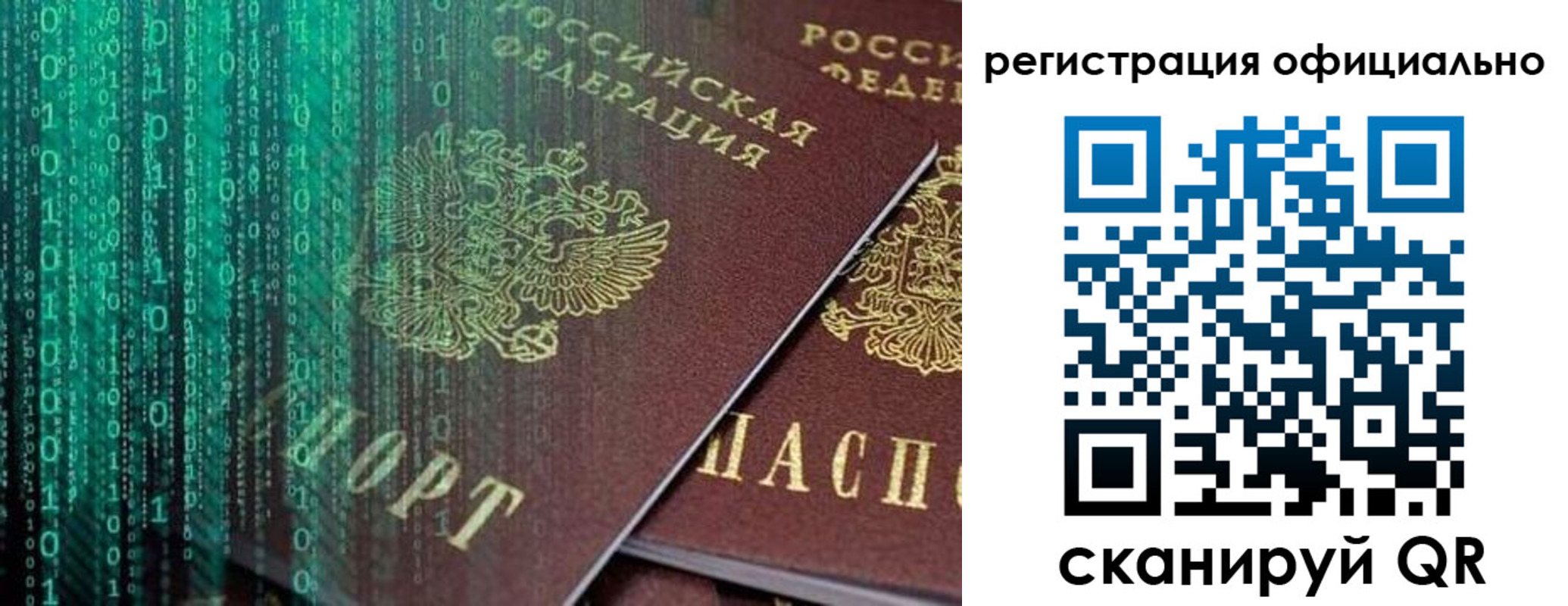 временная регистрация в Кингисеппе